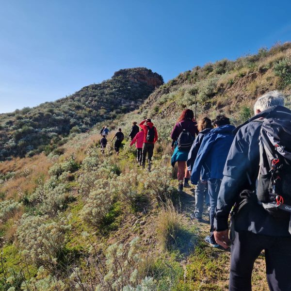 WhatsApp Image 2025-10-11 at 21.57.13 (2)